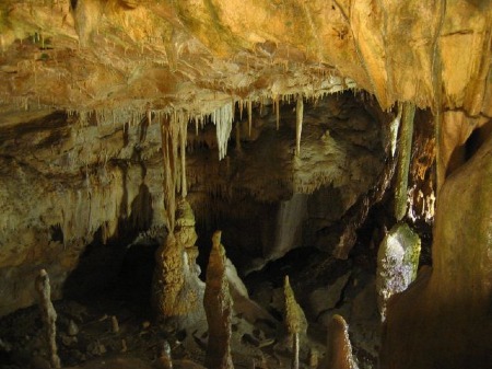 In der Bärenhöhle