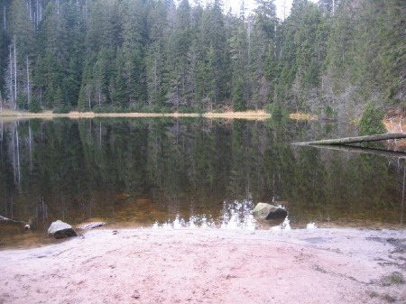 Wildsee beim Ruhestein