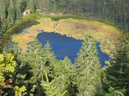 Der Huzenbacher See