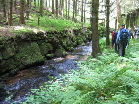Im Würzbachtal