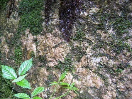 Schwerspat an der alten Pingenwand