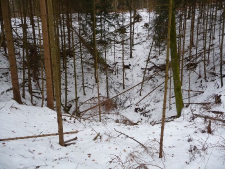 Doline im Wagrain-Wald